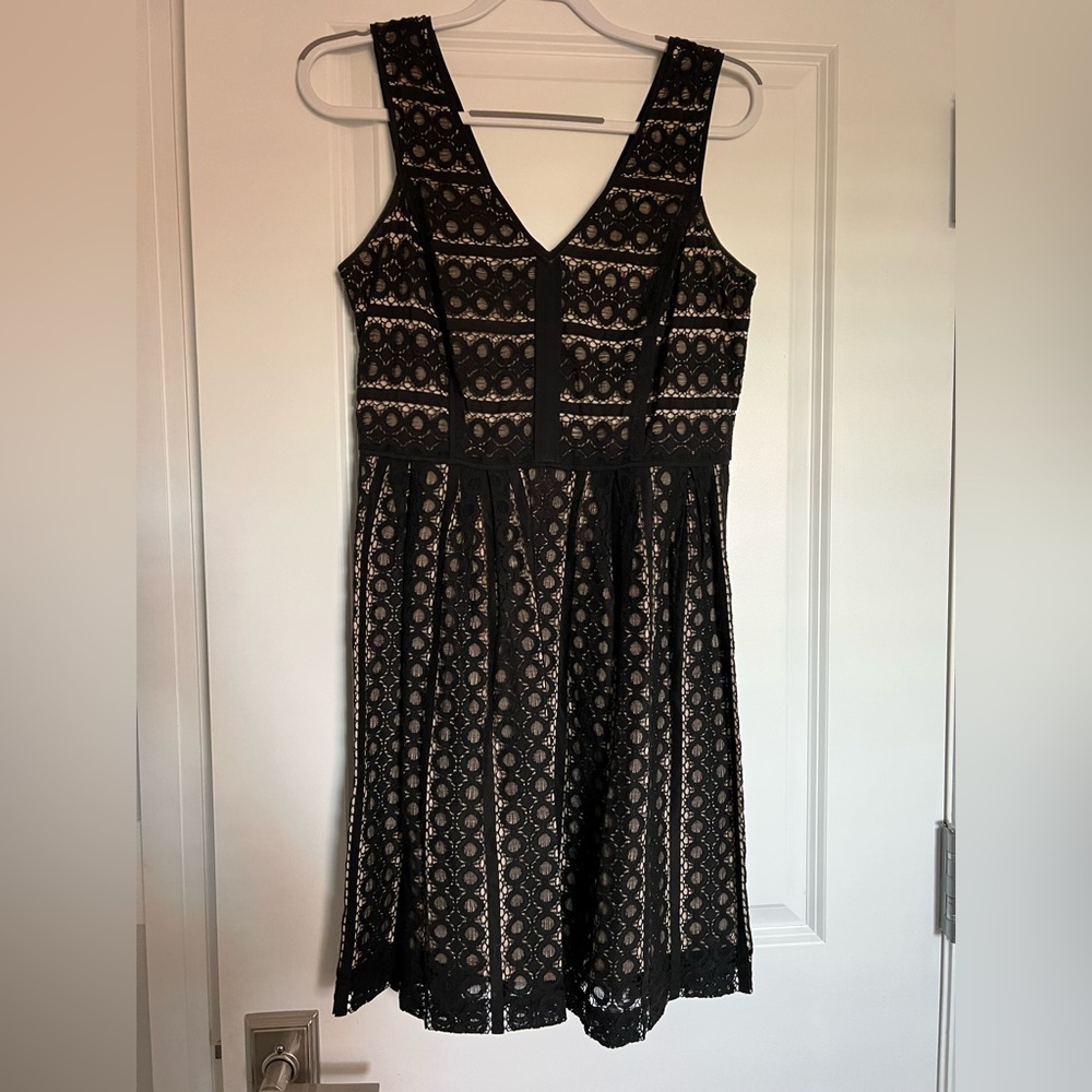 Black and tan lace Loft Dress